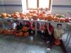 IMG-20191108-WA0027